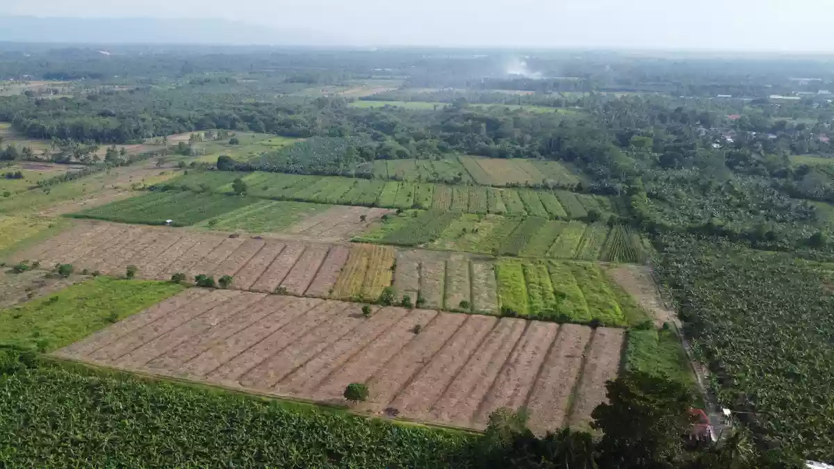 Exceptional Development Opportunity: 12 Hectares of Prime Agricultural Land in Brgy. Mesaoy, New Corella, Davao Del Norte — Agricultural Lot in Davao del Norte, Philippines — Photo 7