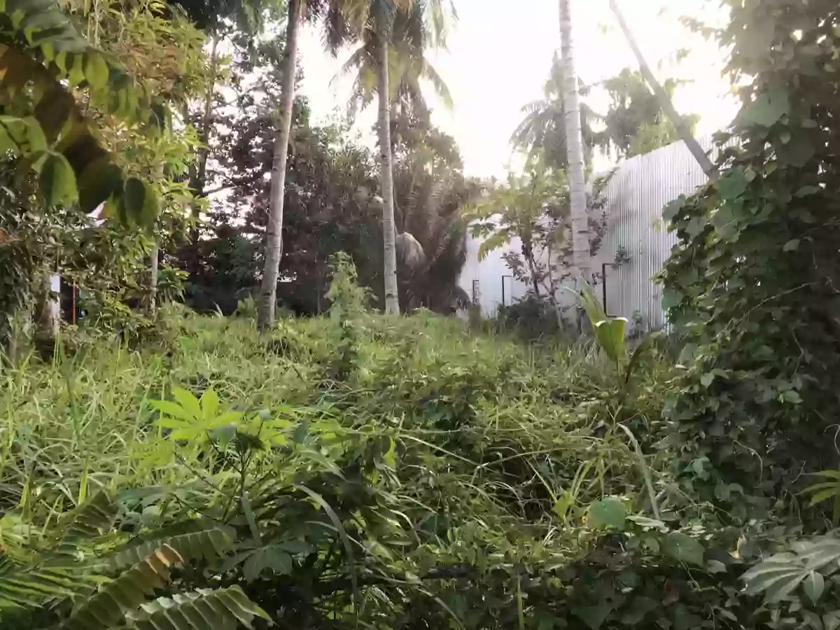LOT FOR SALE IN MARGARITA VILLAGE ROAD BAJADA — Residential Lot in Behind KarAsia, Ic. - Mitsubishi, J.P. Laurel Avenue — Photo 2
