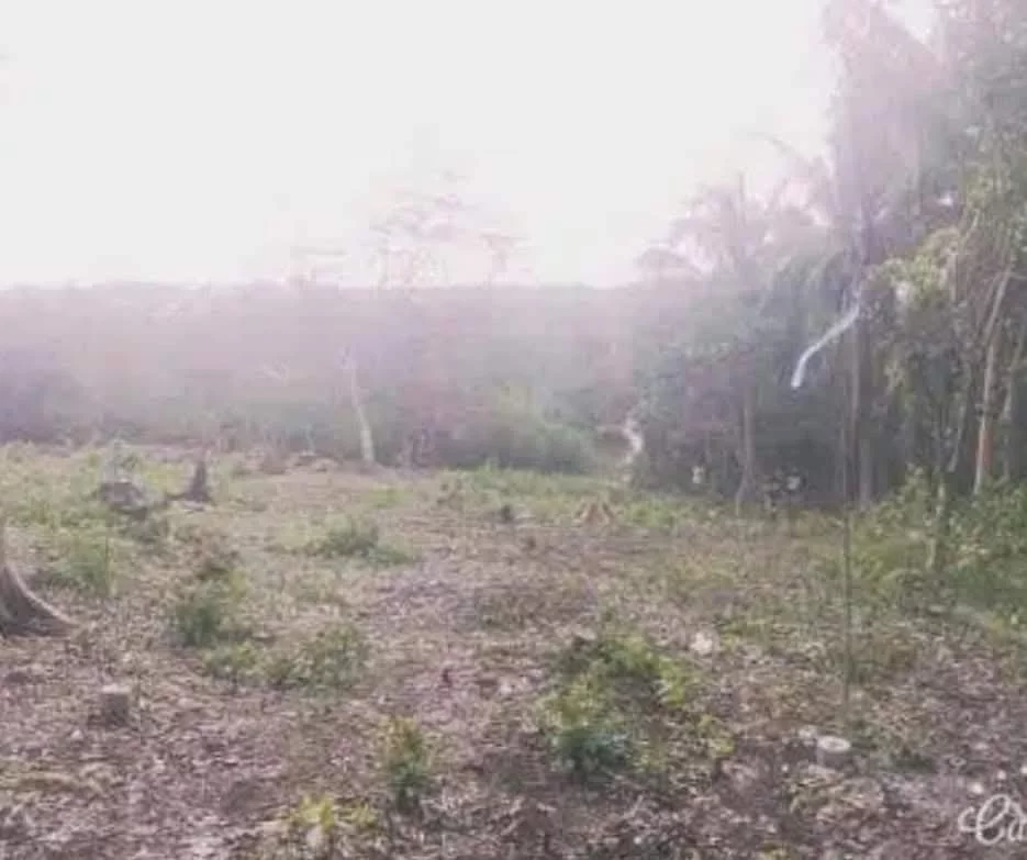 Lot for Sale Fronting Crown regency hotel in Panglao, island Bohol — Residential Lot in Dauis, Bohol, Philippines — Photo 3