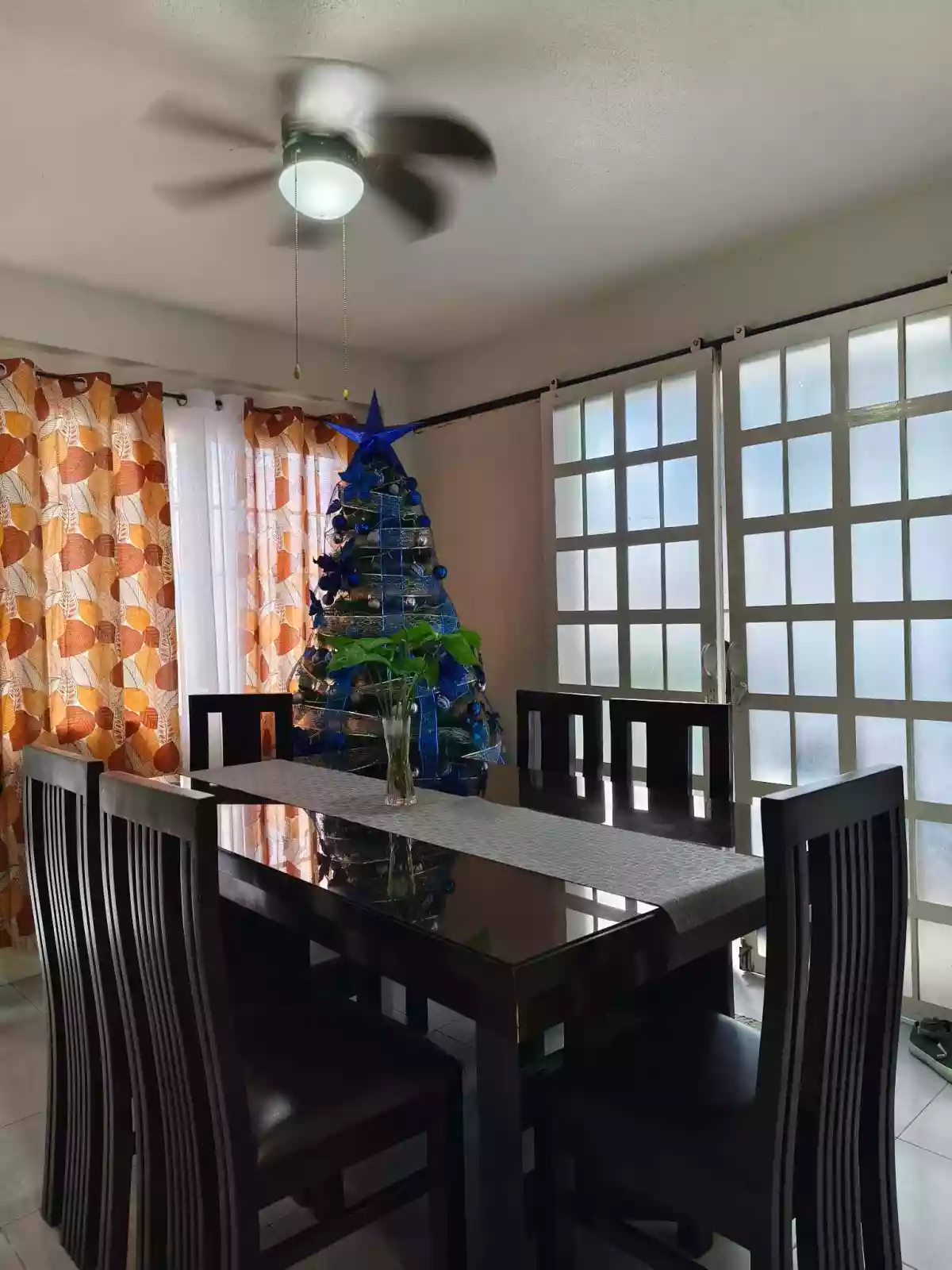 HOUSE AND LOT: PARKVIEW VILLAGE — House and Lot in San Felipe, Naga, Camarines Sur — Photo 7