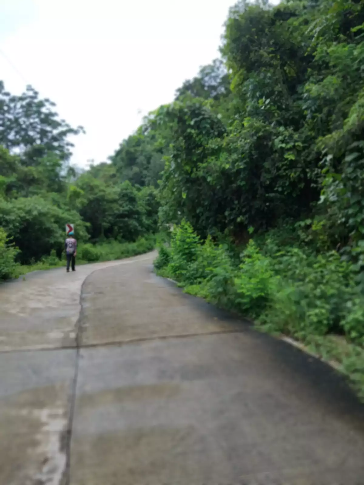 Beach Front Property For Sale (Sipalay) — Beach Lot in Sipalay City, Negros Occidental, Philippines — Photo 3