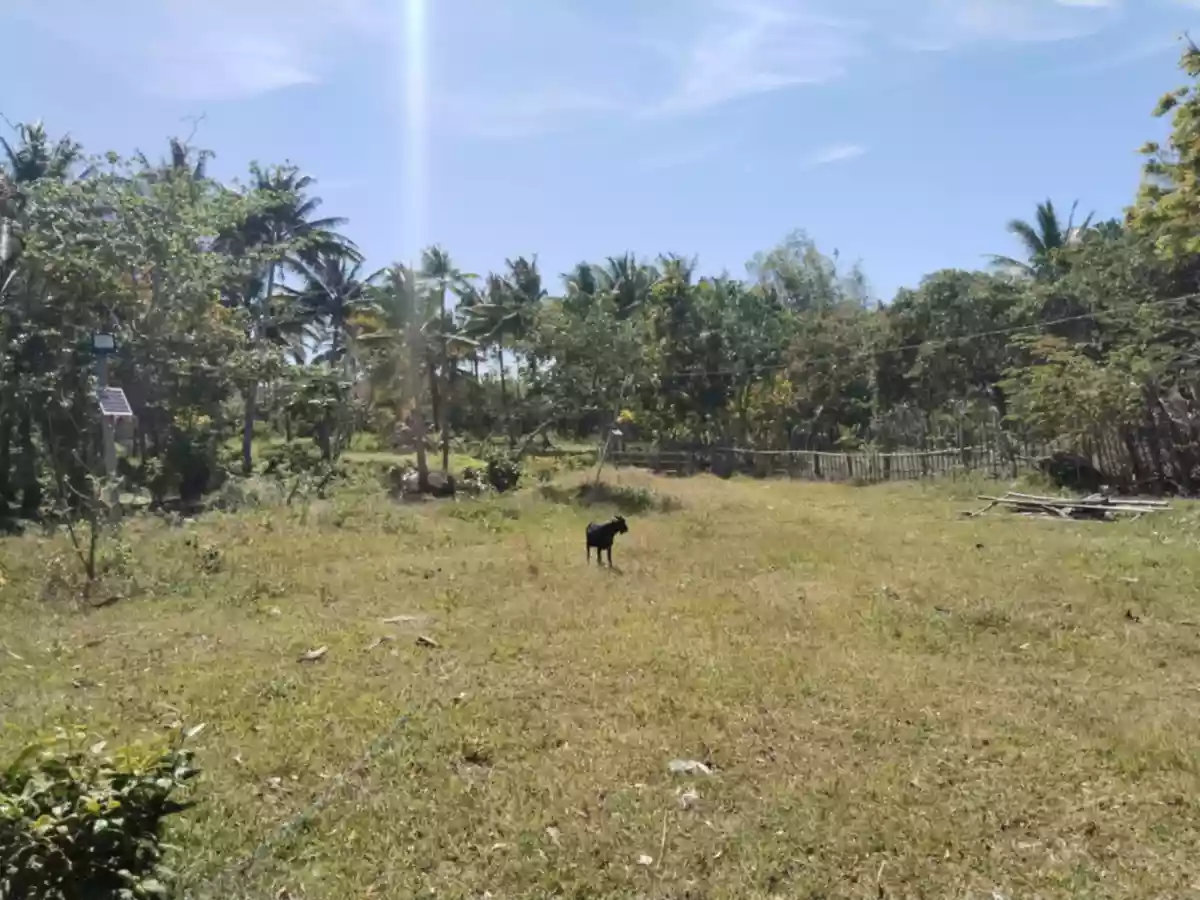 Open photo 15 of 20 — Beach Lot/White Sand Beach 
