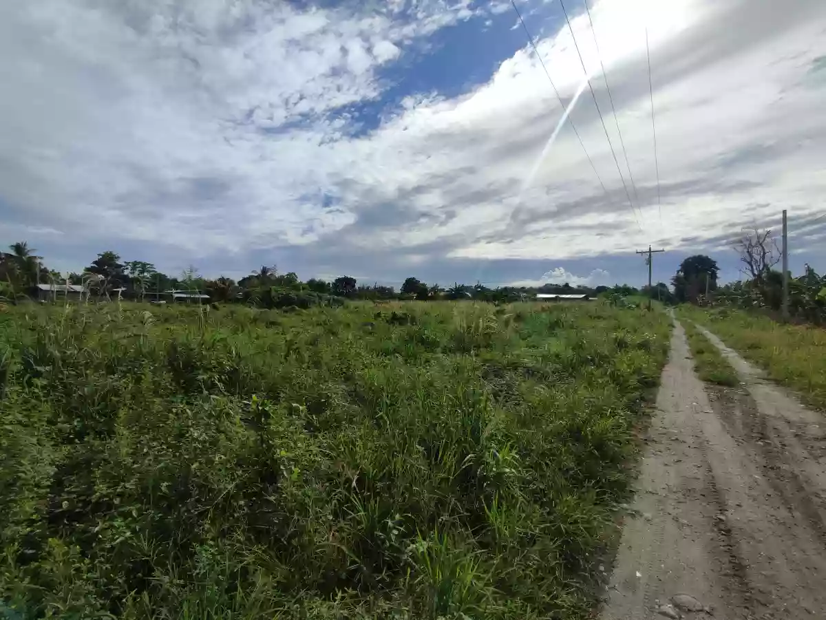 Lot for Sale — Agricultural Lot in General Santos City, South Cotabato, Philippines — Photo 2