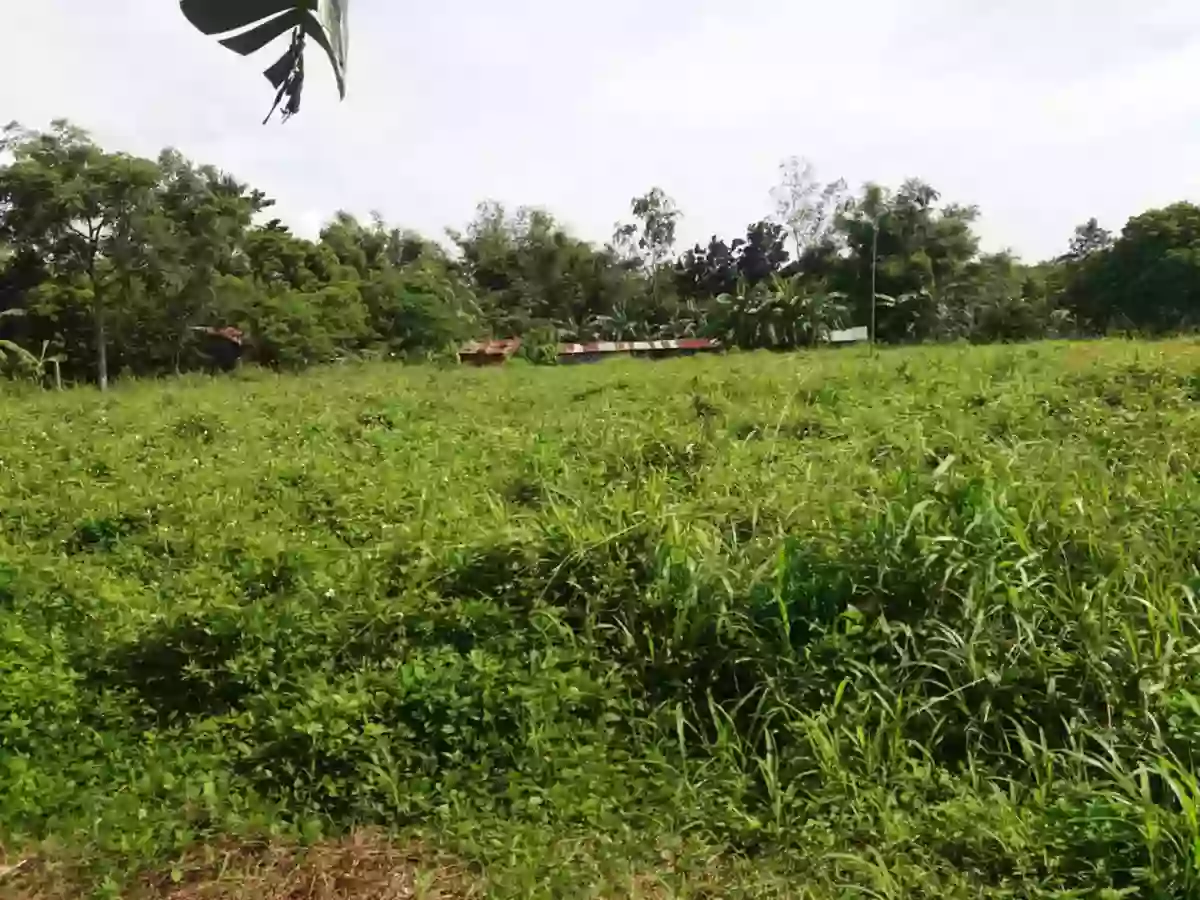 Residential lot — Residential Lot in Silay City, Negros Occidental, Philippines — Photo 3