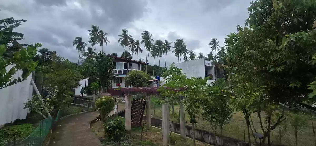 House and Lot in West Balabag Valencia NegOr — House and Lot in Valencia, Negros Oriental, Philippines — Photo 3