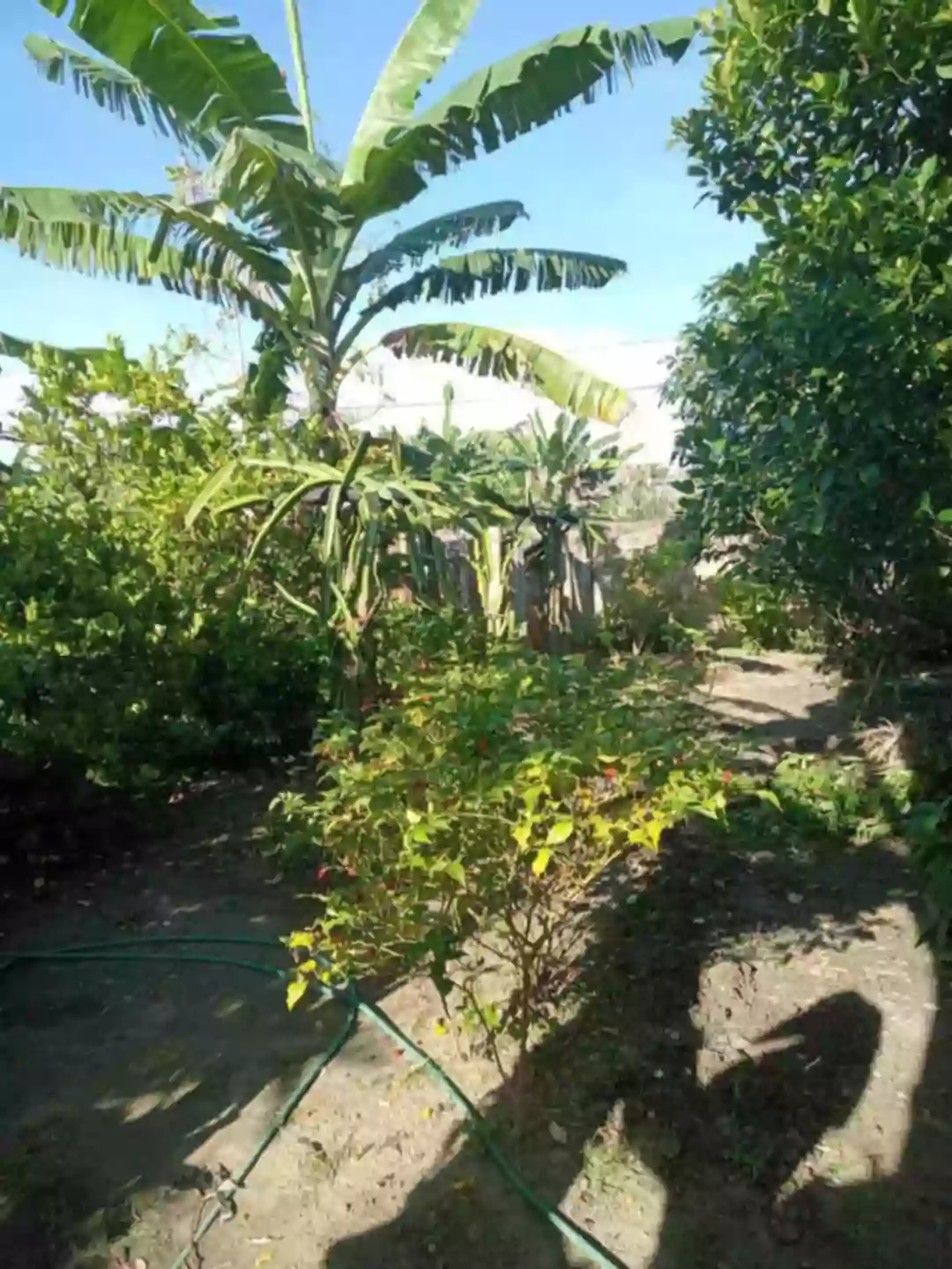 Open photo 11 of 12 — LOT FOR 400sq.m. Lot area both Corner Lot