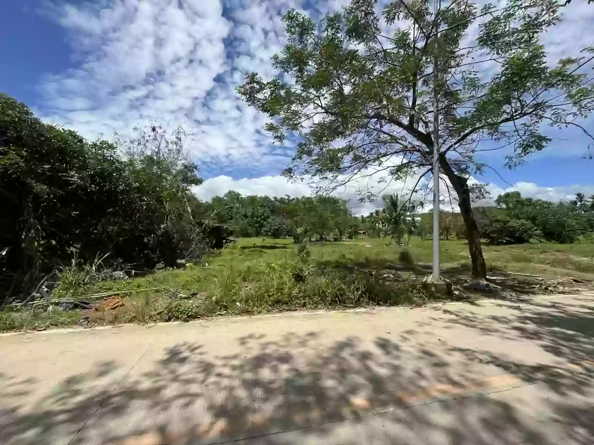8,875 sqm AGRICULTURAL Lot for sale in COTCOT, LILOAN [TITLED] — Agricultural Lot in Liloan, Cebu, Philippines — Photo 5