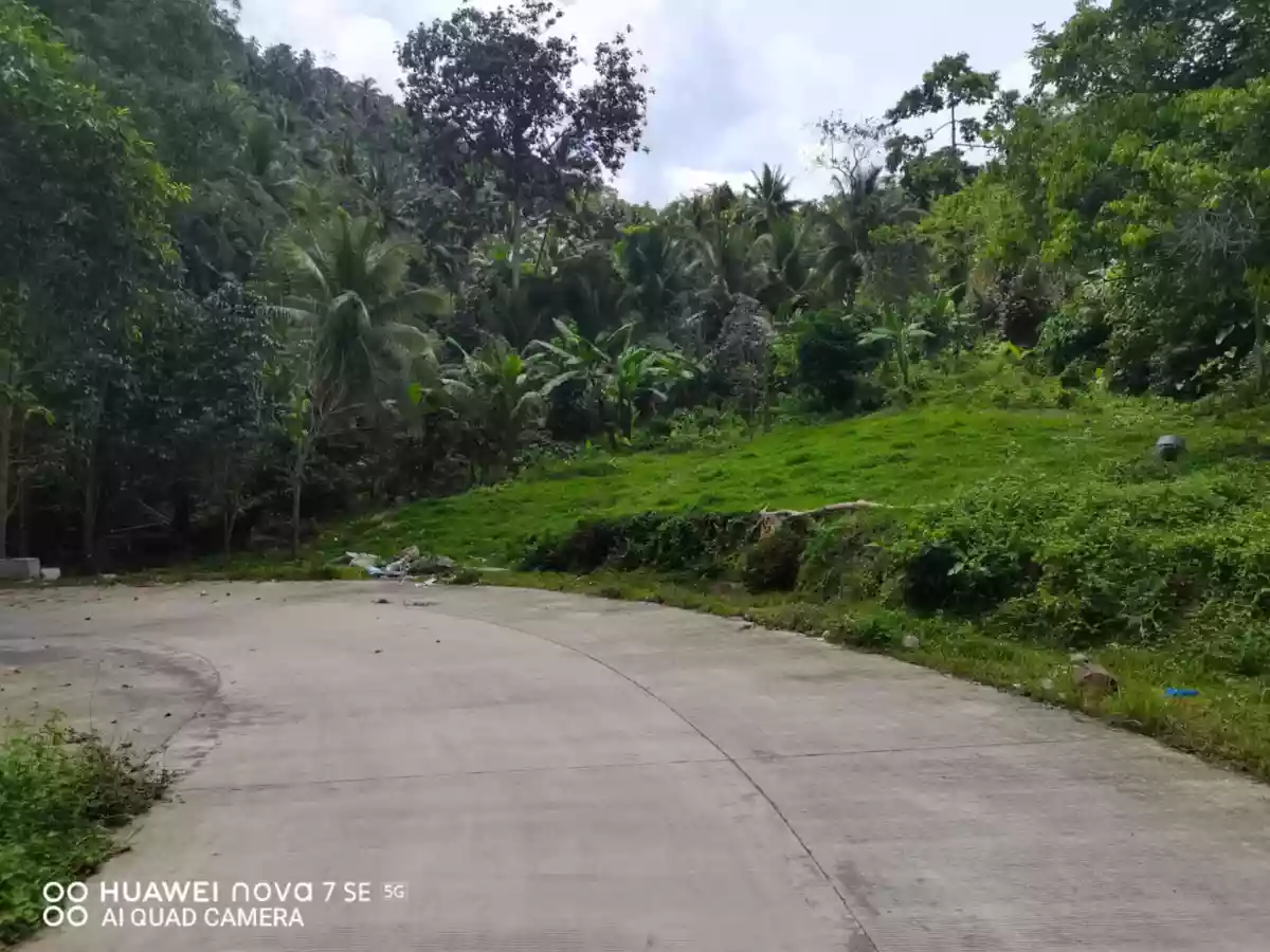 Lot for Sale in Sagbang, Valencia!
