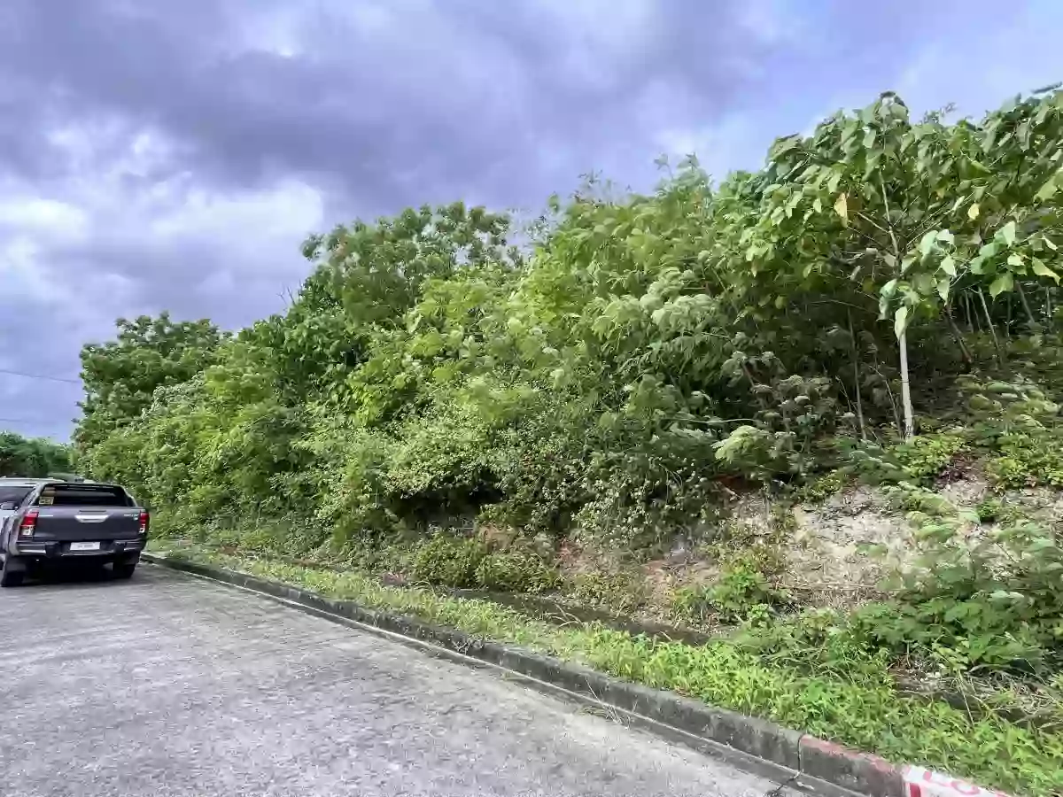 MARIA LUISA NORTH HERITAGE MANDAUE RESIDENTIAL LOT — Residential Lot in The Heritage Front Gate, Consolacion, Cebu — Photo 6