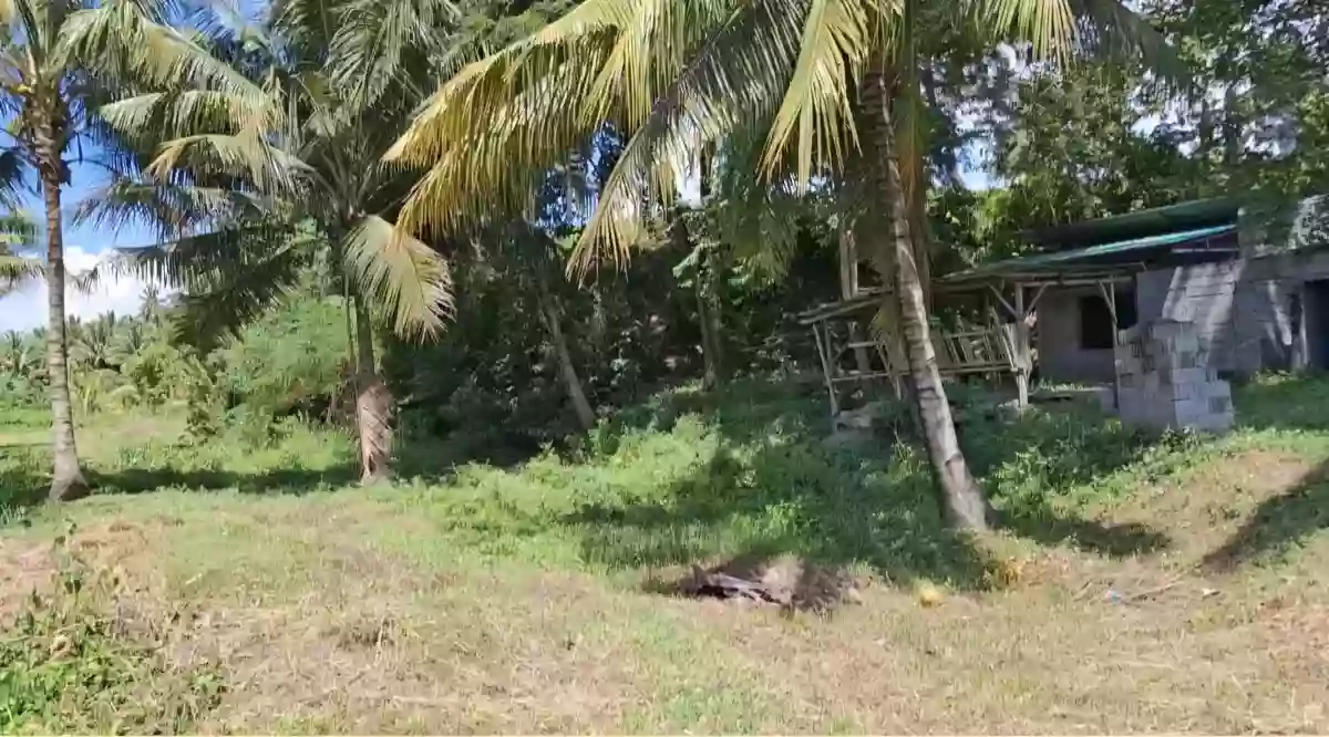 LOT FOR SALE — Agricultural Lot in Malapatan, Sarangani, Philippines — Photo 2