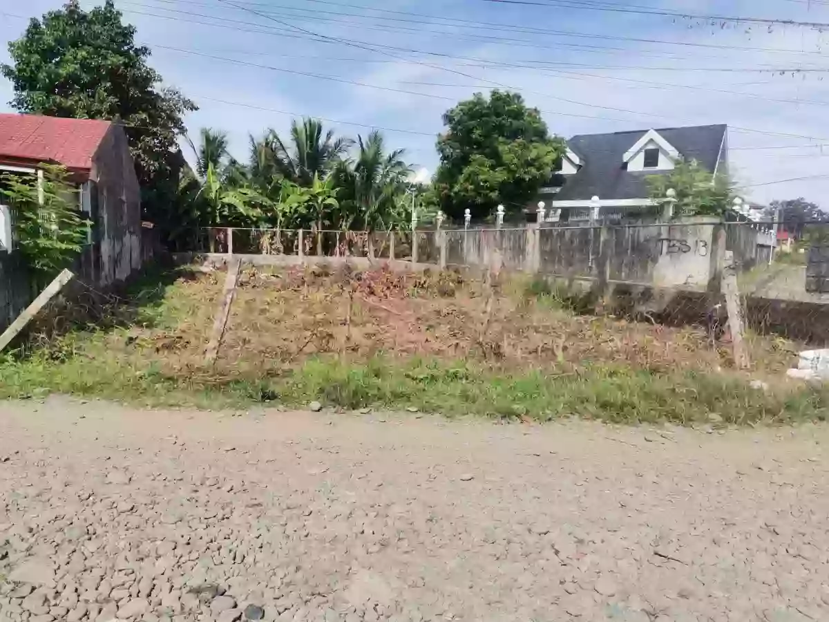 Corner Lot for sale in PNB Subdivision Dipolog City