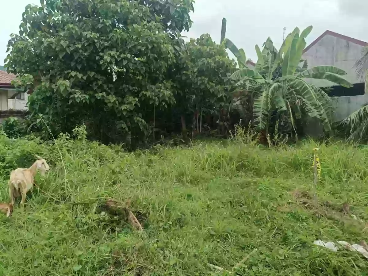 For Sale Residential Lot in Minglanilla — Residential Lot in Minglanilla City, Cebu, Philippines — Photo 5