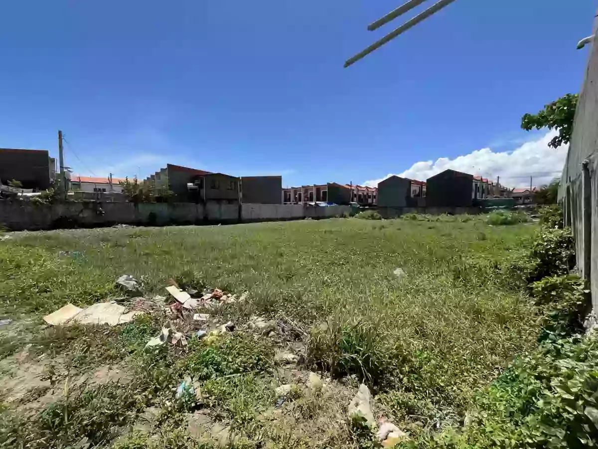1501 sqm AGRICULTURAL LOT FOR SALE IN COTCOT LILOAN — Agricultural Lot in Liloan, Cebu, Philippines — Photo 3