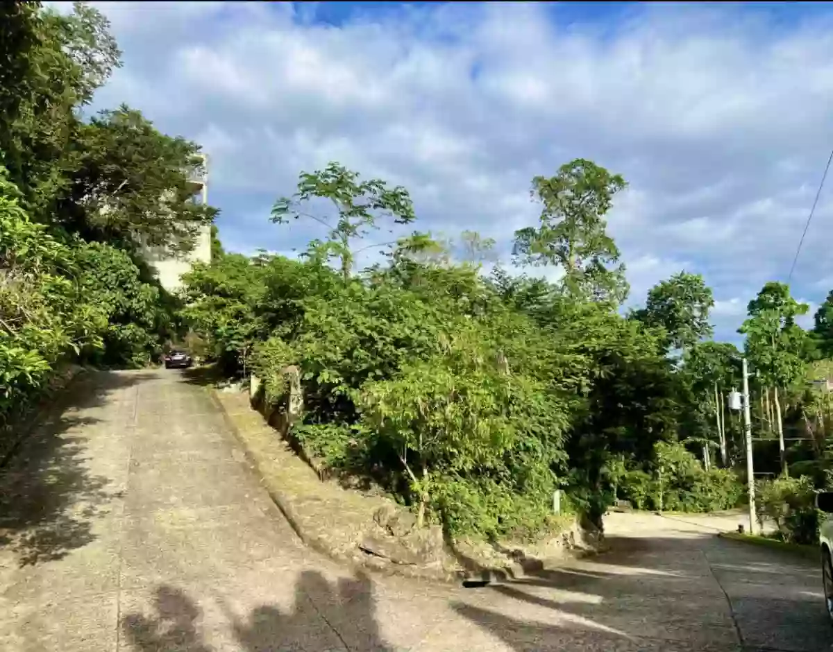 LOT FOR SALE | Jardin de Busay Exclusive Hillside Community — Residential Lot in Cebu Transcentral Highway, Cebu City, Cebu — Photo 2