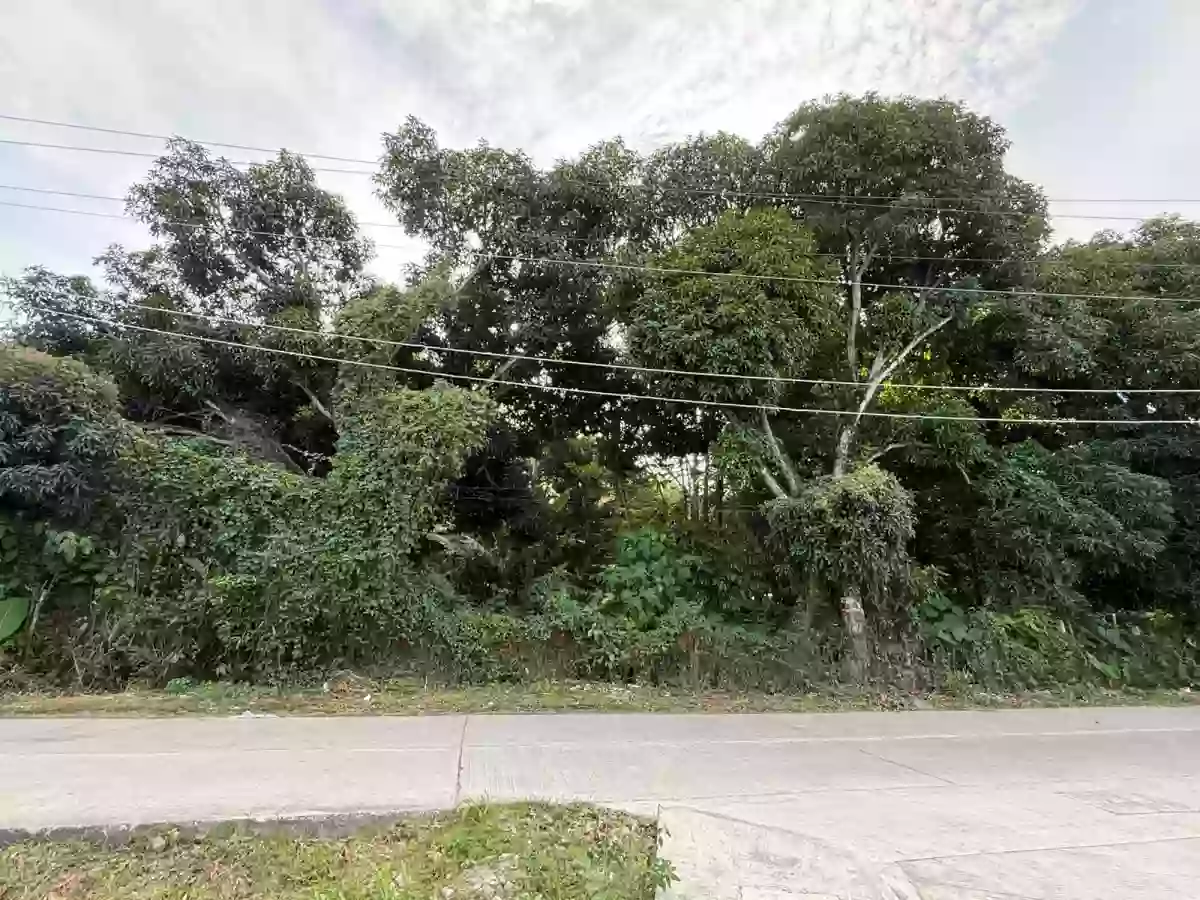 LOT FOR SALE – PRIME LOCATION IN TALAY, DUMAGUETE CITY — Residential Lot in Negros Oriental, Philippines — Photo 3