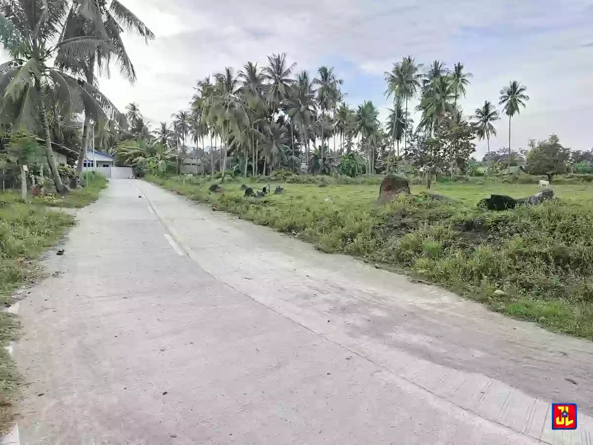 Rush Sale 5,885sqm Corner Lot in Balayag Manok, Bacong [available] — Residential Lot in Bacong, Negros Oriental, Philippines — Photo 2