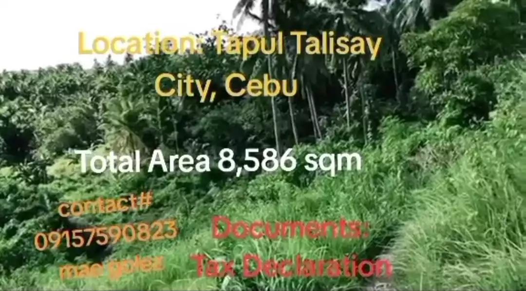 Sacrifice Sale FARM LOT, Tapul, Talisay City — Agricultural Lot in Cebu, Philippines — Photo 5