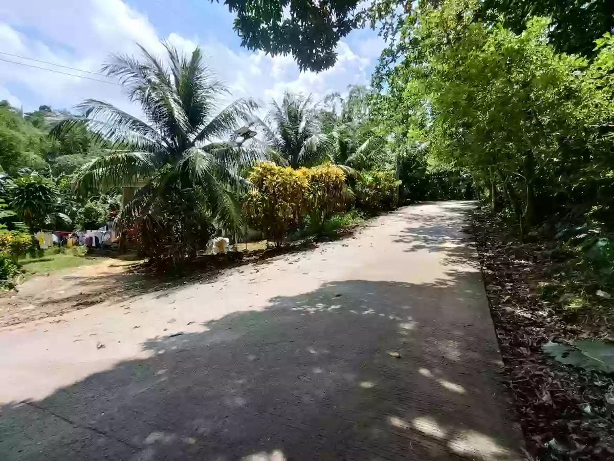 Lot For Sale in Consolacion — Agricultural Lot in Cabangahan Road, Consolacion, Cebu — Photo 5