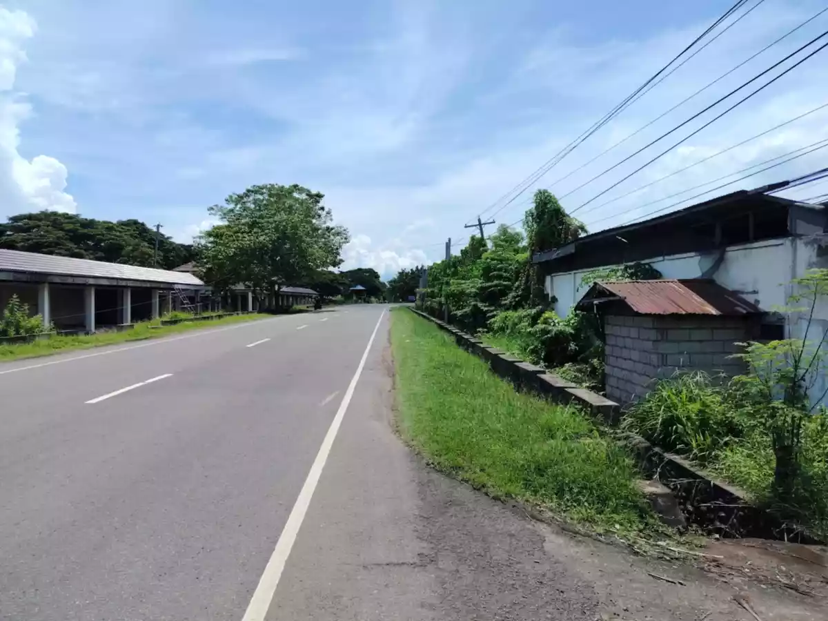 Prime Lot Along National Highway – Tanjay City, Negros Oriental — Residential Lot in Tanjay City, Negros Oriental, Philippines — Photo 4