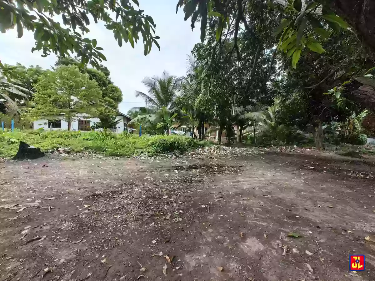 Rush Sale Commercial Lot in Batinguel, Dumaguete [available] — Residential Lot in Negros Oriental, Philippines — Photo 3