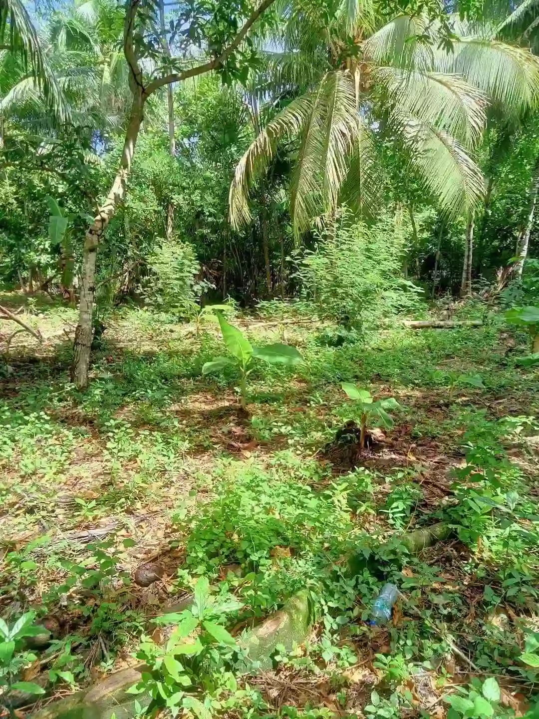 400 sqm Residential Lot for Sale near UST Gensan Campus — Residential Lot in General Santos City (Dadiangas), South Cotabato, Philippines — Photo 3