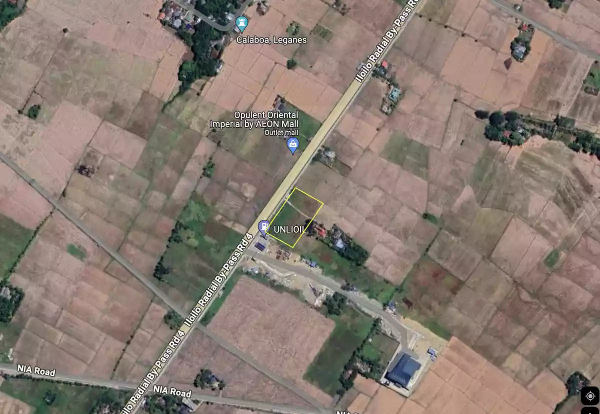 Calaboa Property — Agricultural Lot in Leganes, Iloilo, Philippines — Photo 2