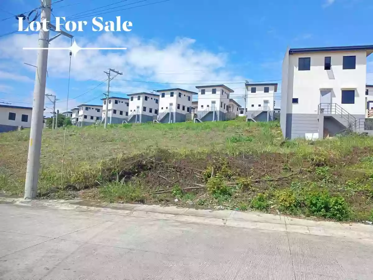 Lot For Sale in Amoa Subdivision — Residential Lot in Tamiao, Compostela, Cebu — Photo 2