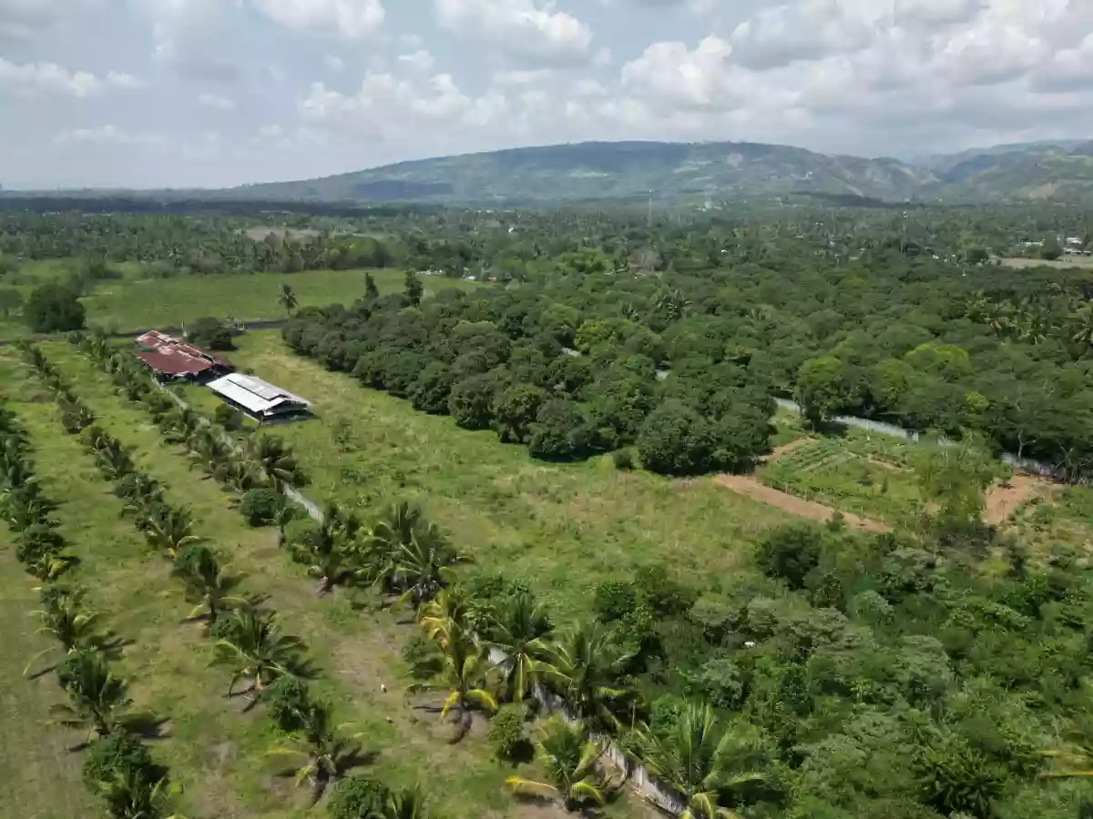 Piggery/Farm Lot For Sale in Odagre General Santos City Socksargen — Agricultural Lot in Gen. Santos City, South Cotabato, 9500 — Photo 6