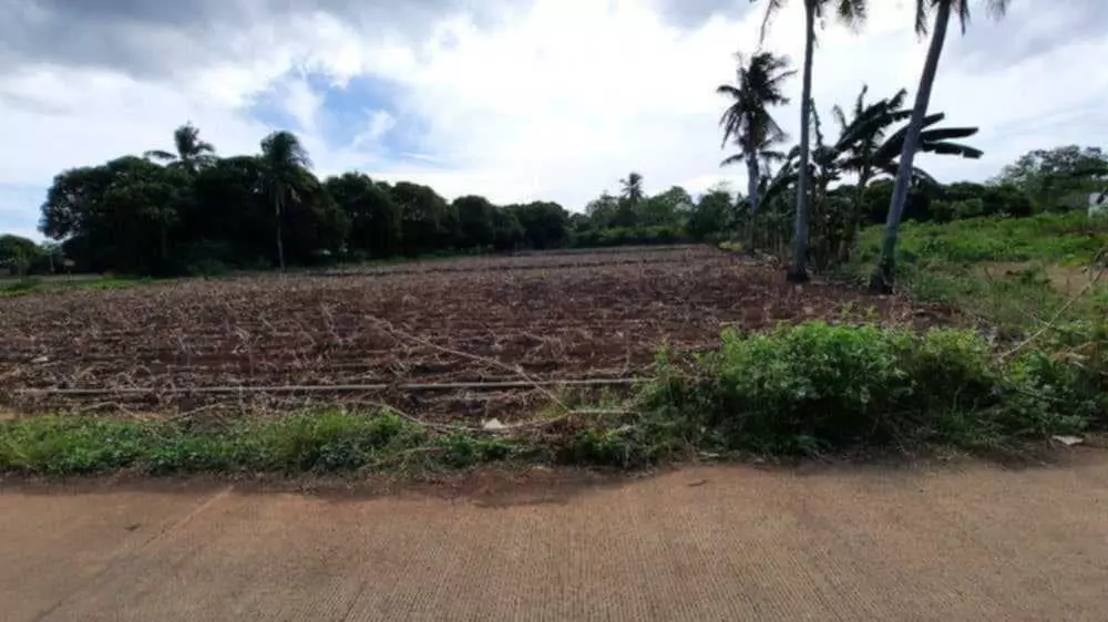 LOT FOR SALE IN SAN REMIGIO,CEBU