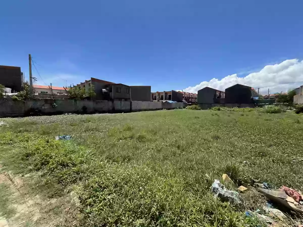 1501 sqm AGRICULTURAL LOT FOR SALE IN COTCOT LILOAN — Agricultural Lot in Liloan, Cebu, Philippines — Photo 4