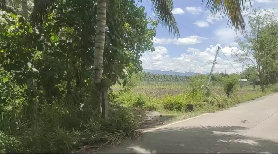 Prime Commercial/Residential Lot for Sale in Brgy. Ligaya, Antonino Street, General Santos! — Commercial Lot in General Santos City (Dadiangas), South Cotabato, Philippines — Photo 5