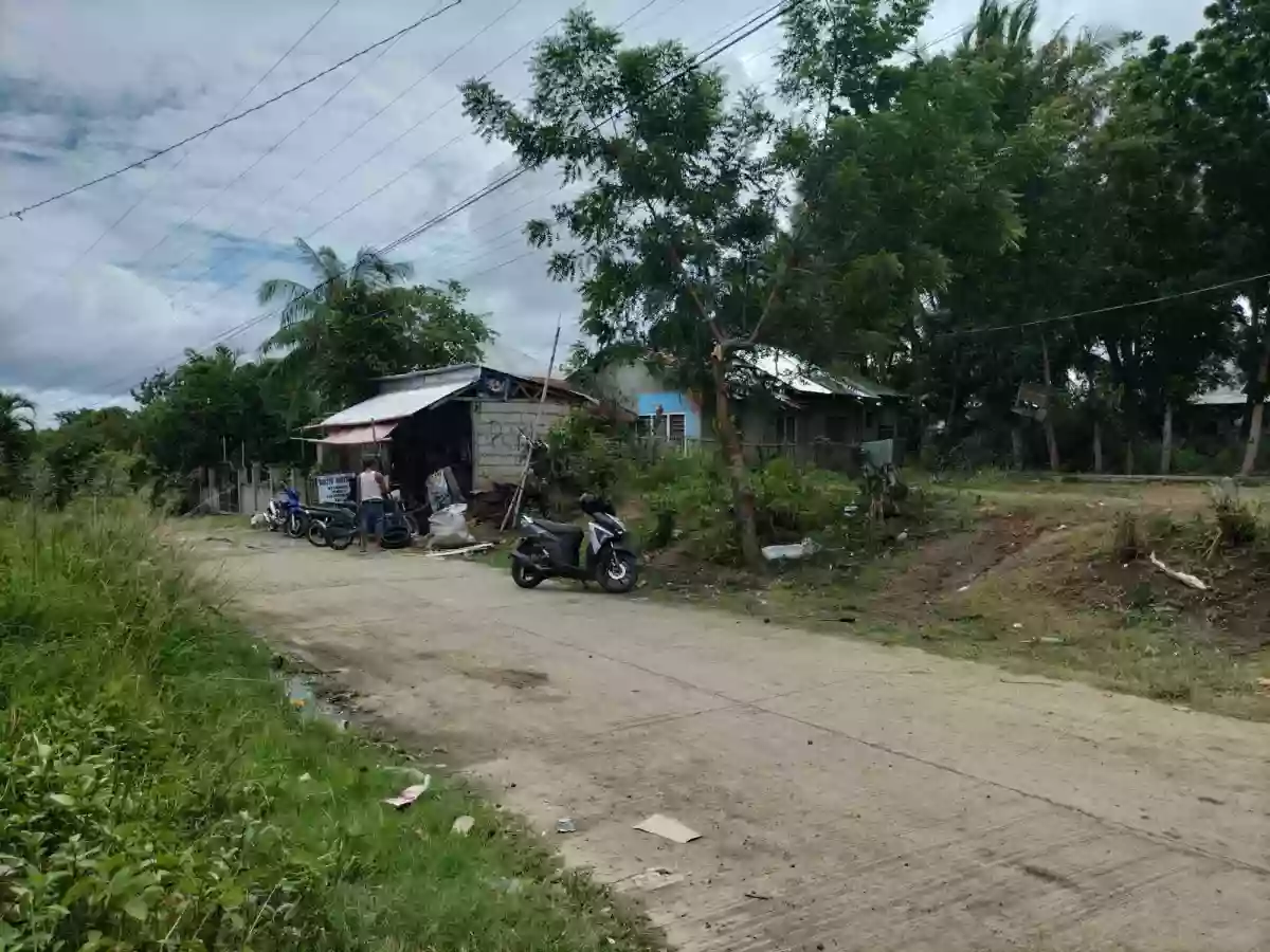 RUSH LOT FOR SALE — Residential Lot in Amlan, Negros Oriental, Philippines — Photo 4