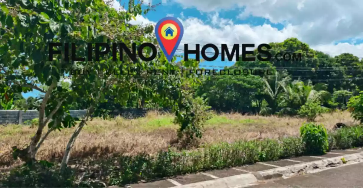 275 Sqm Residential  Lot For Sale! — Residential Lot in Naga City, Camarines Sur, Philippines — Photo 2