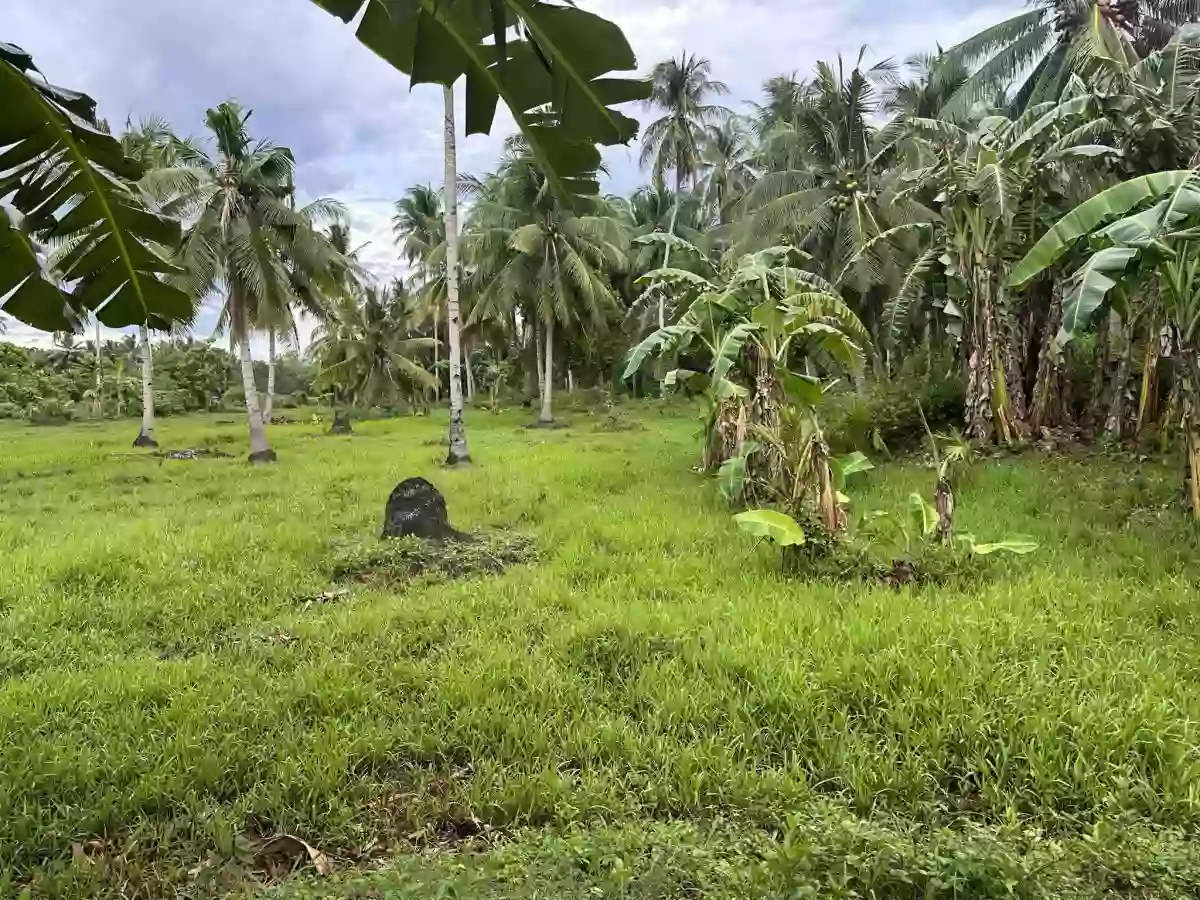 Baluntay Alabel Lot for Sale Good for Quarrying — Agricultural Lot in Alabel, Sarangani, Philippines — Photo 6