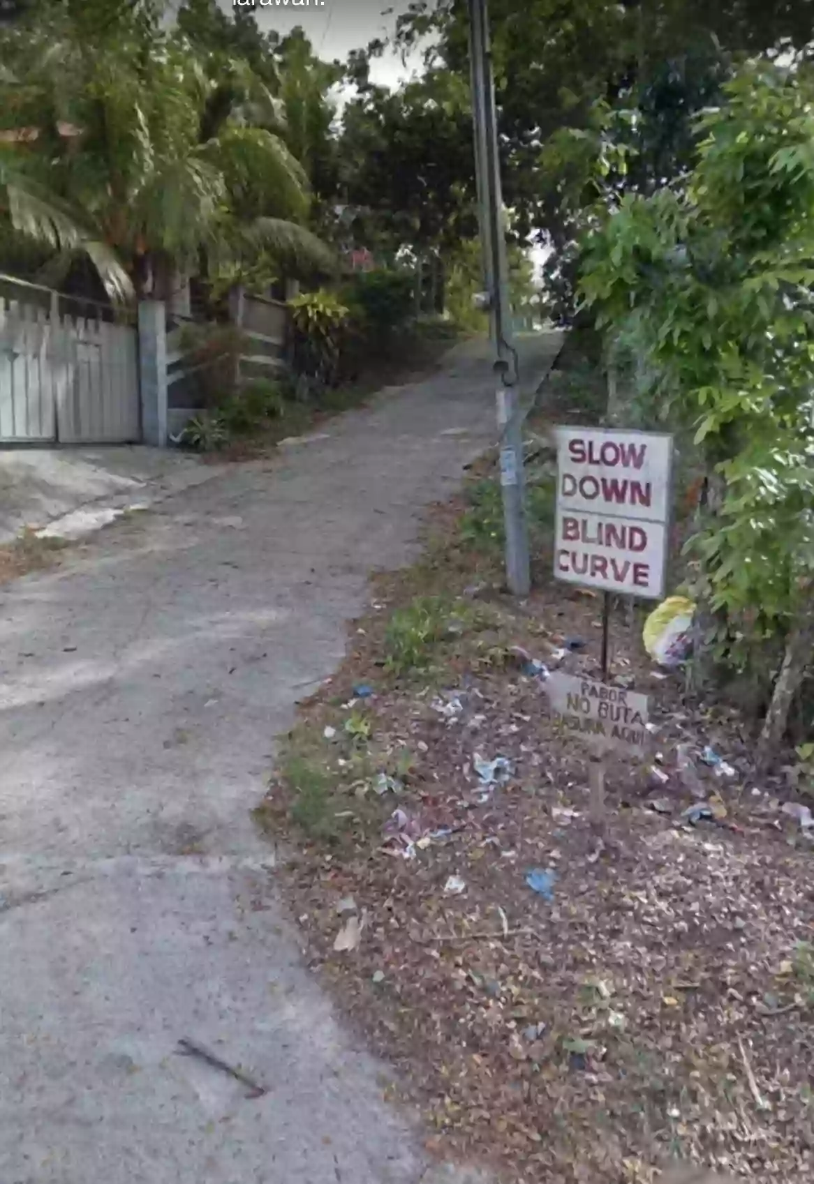 Prime Residential/Commercial Two-Front Corner-Lot in Cabatangan, Zamboanga City — Residential Lot in Zamboanga City, Zamboanga del Sur, Philippines — Photo 3