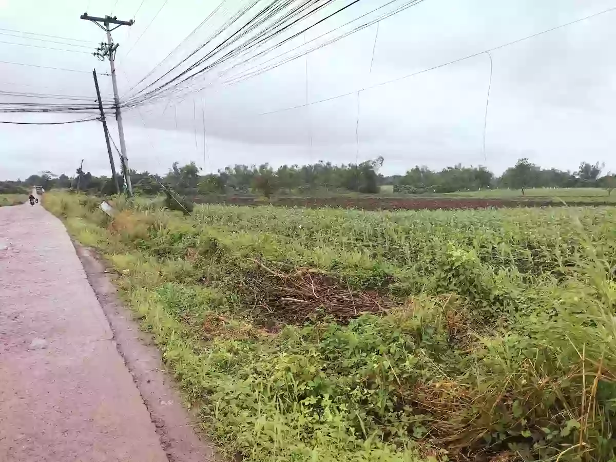 LOT FOR SALE!!! — Agricultural Lot in Naga City, Camarines Sur, Philippines — Photo 2