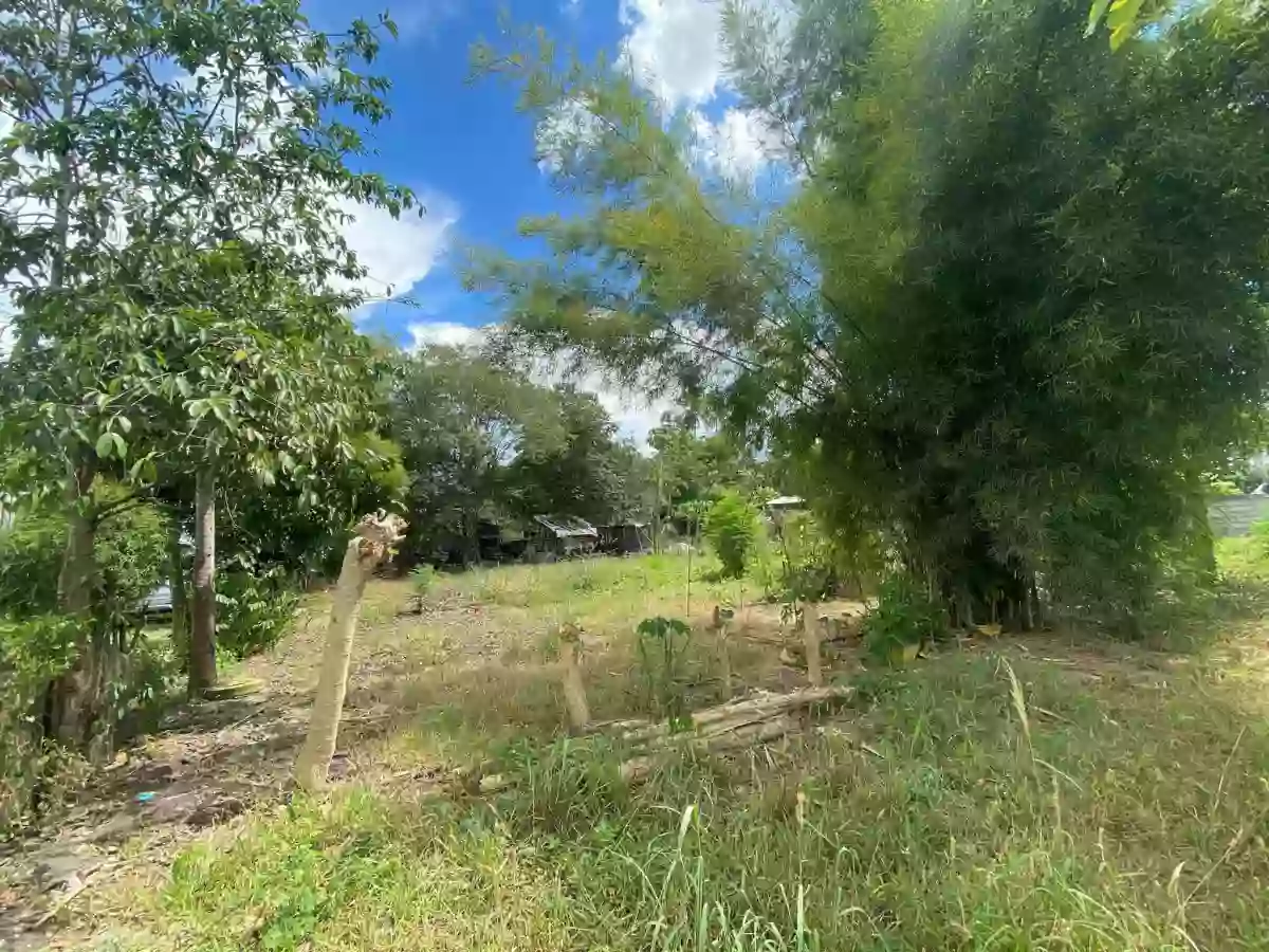 For Sale: Prime Vacant Lot — Agricultural Lot in TANGHAL COUNTRY HOMES, General Santos City, South Cotabato — Photo 4
