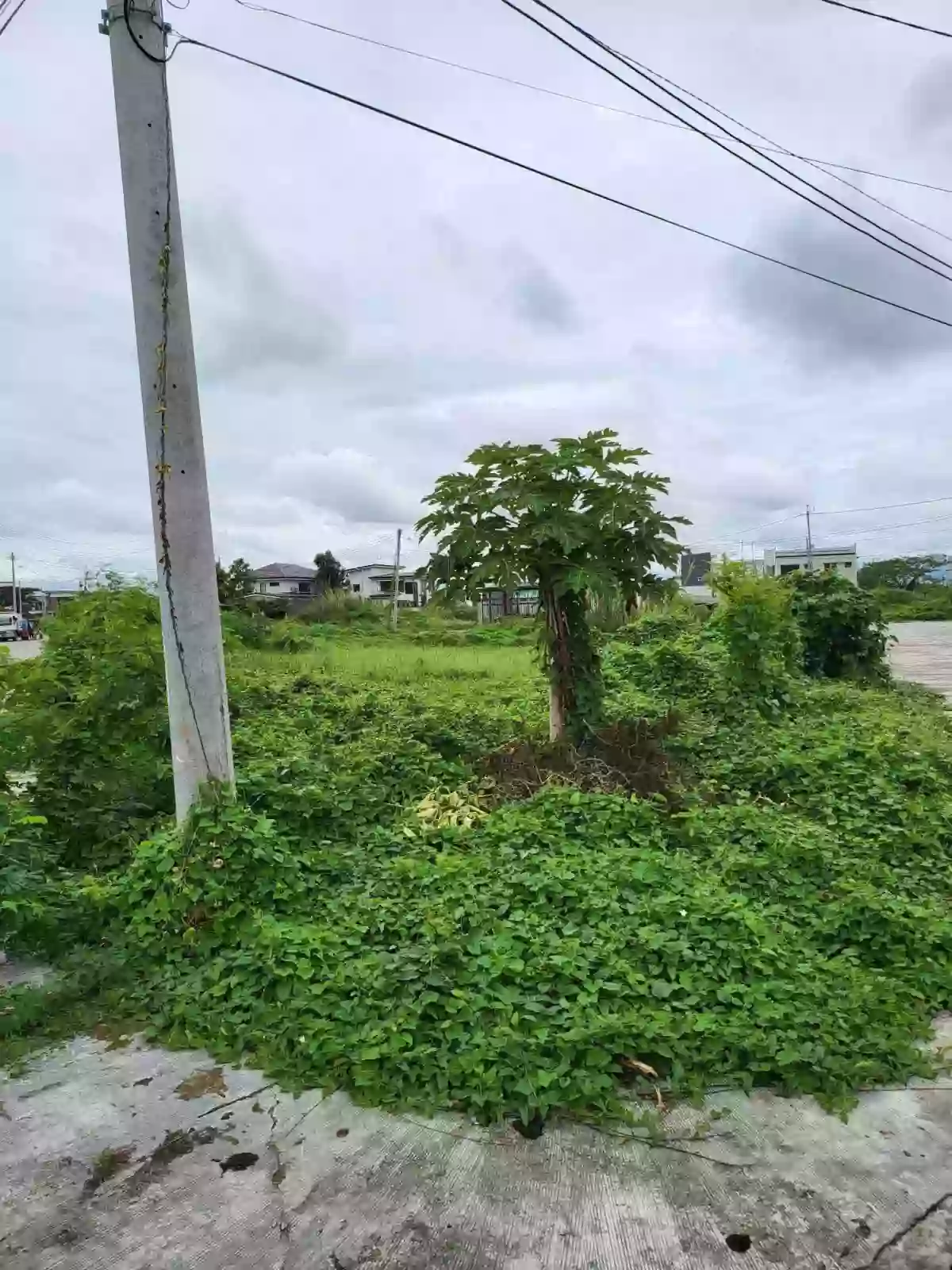 LOT FOR SALE (WESTWOODS GRAND ILOILO) FRONT OF CLUB HOUSE — Residential Lot in Mandurriao, Iloilo City, Iloilo — Photo 2