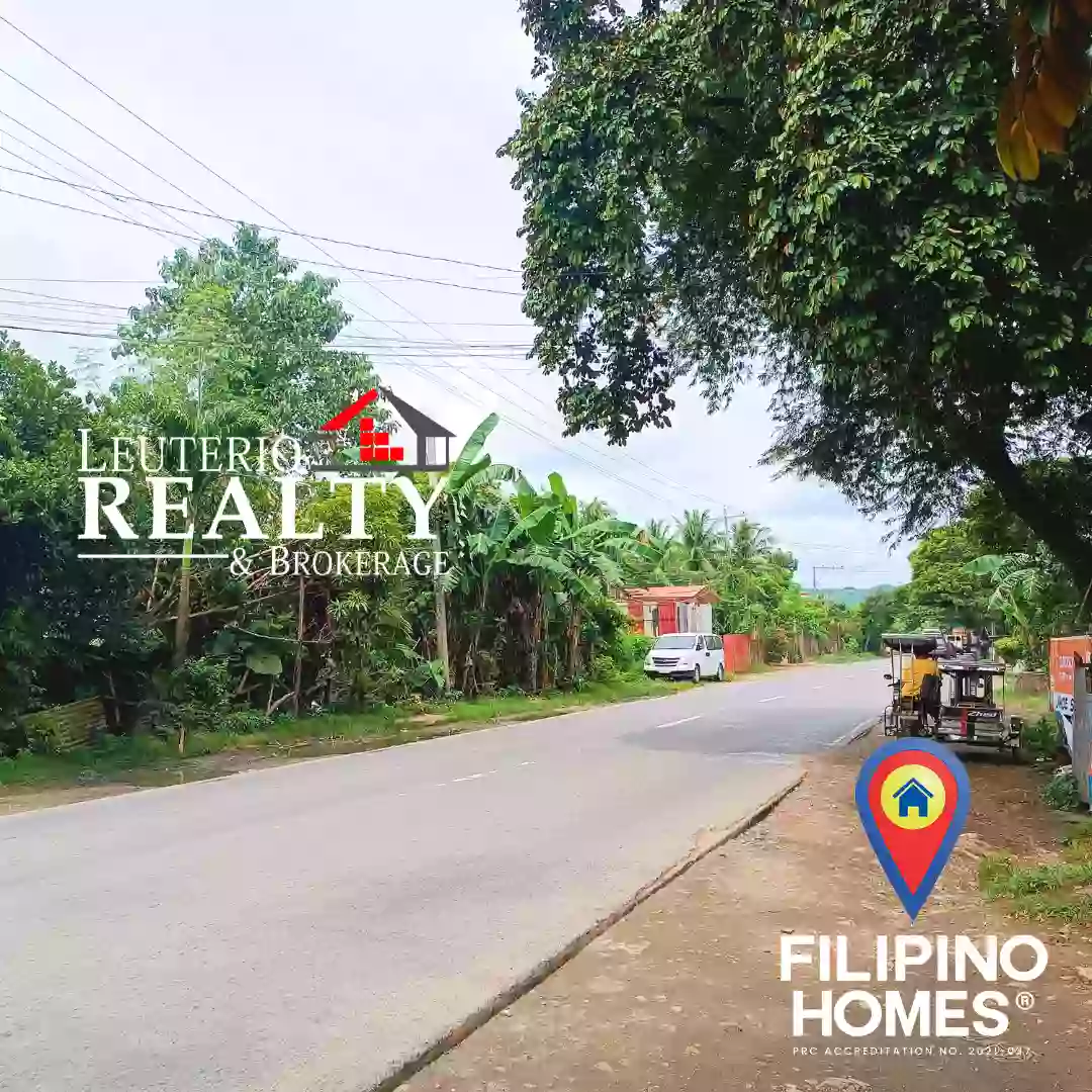 Lot For Sale 200sqm Residential lot in Panikihan Gumaca Quezon. Clean Title near to National Highway 