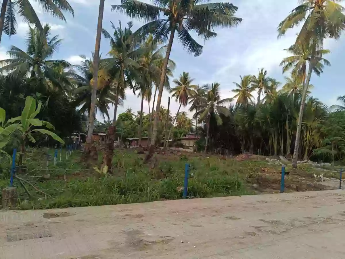 Lot for Sale in Liloan — Residential Lot in Liloan, Cebu, Philippines — Photo 5