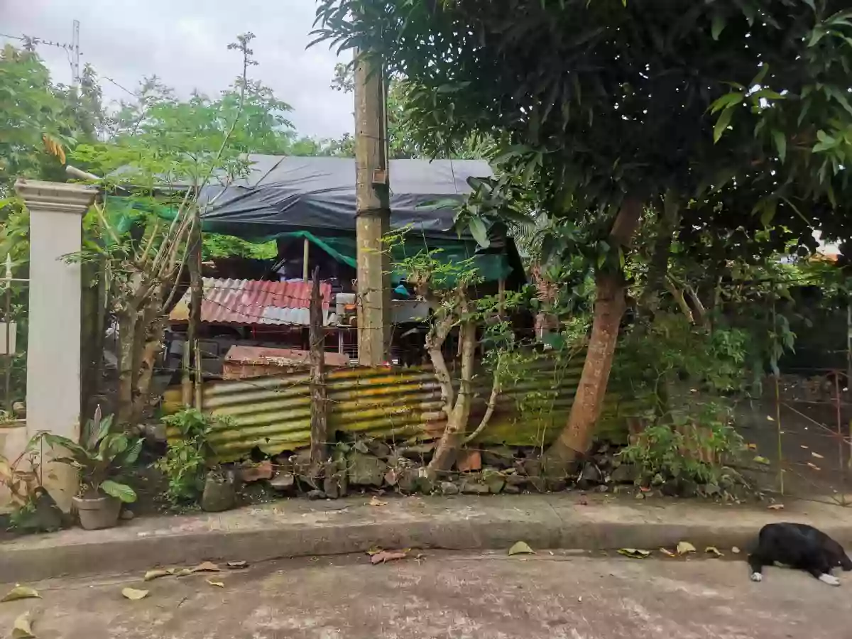 For Sale: Residential Lot in San Felipe, Naga City — 120 sqm — Residential Lot in Naga, Camarines Sur, Philippines — Photo 3
