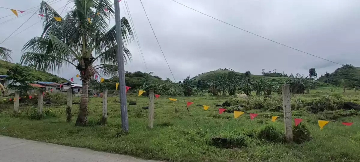 Farm Lot Flat along Provincial Road — Agricultural Lot in Pinamungahan, Cebu, Philippines — Photo 4