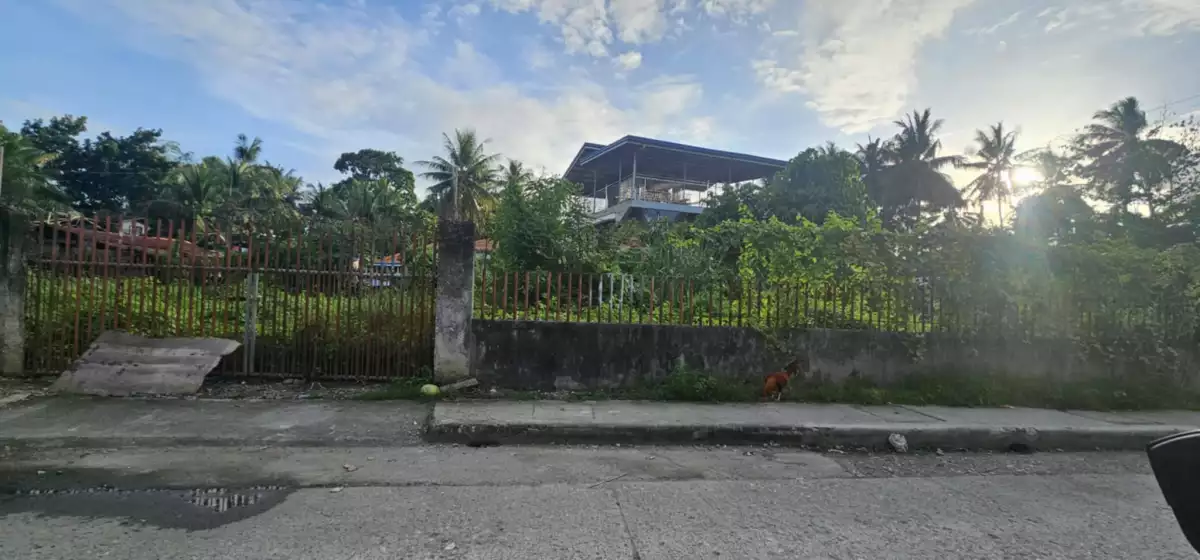 COMMERCIAL LOT FOR RENT AT TABOC CAMALIGBATO DANAO CITY — Commercial Lot in Danao City, Cebu, Philippines — Photo 3