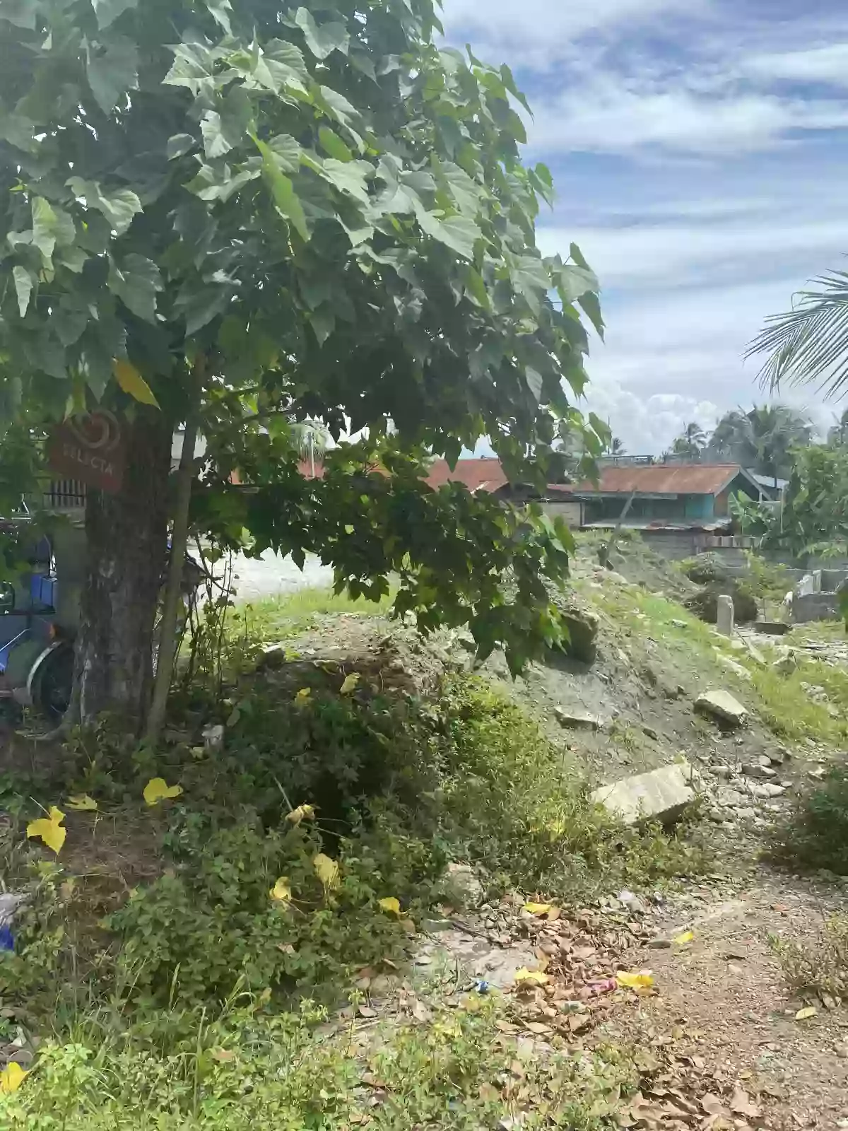 Clean title lot for rent — Commercial Lot in Sarangani, Philippines — Photo 2