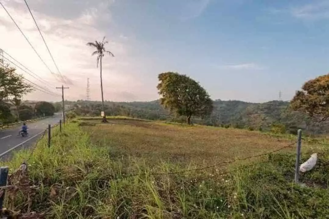 Strategic 2-Hectare Lot Along Diokno Highway, Lemery, Batangas — Agricultural Lot in Lemery, Batangas, 4209 — Photo 4