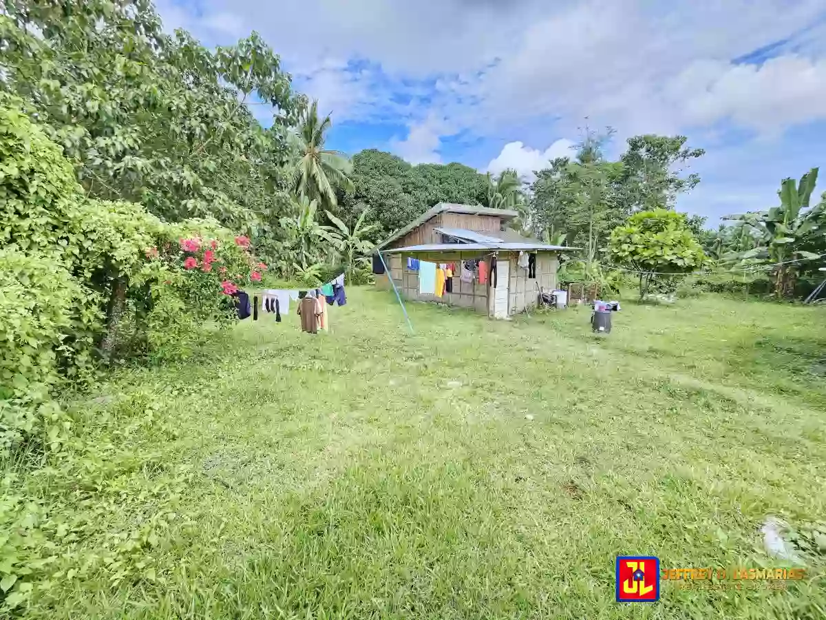 P7M discount! From P14M to P7M! Desperate Sale House in Liptong, Bacong [available] — House and Lot in Bacong, Negros Oriental, Philippines — Photo 4