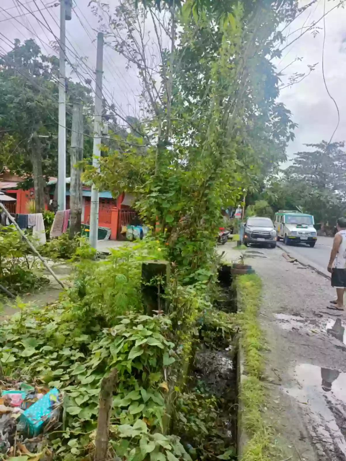 Residential Lot for Sale, Buhangin Atimonan Quezon- 86sqm Clean title — Residential Lot in Atimonan, Quezon, Atimonan — Photo 5
