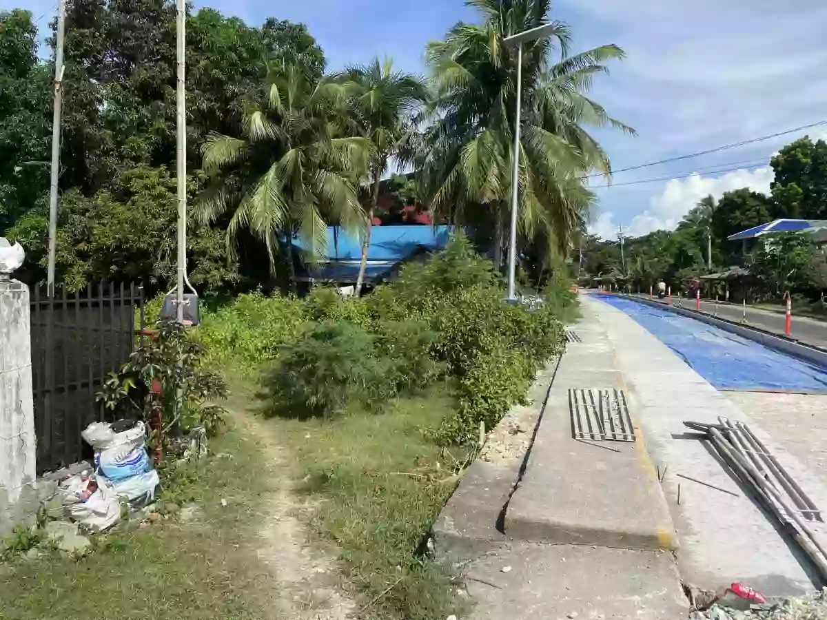 Lot for Sale SanJuan Siquijor — Residential Lot in San Juan, Siquijor, Philippines — Photo 3