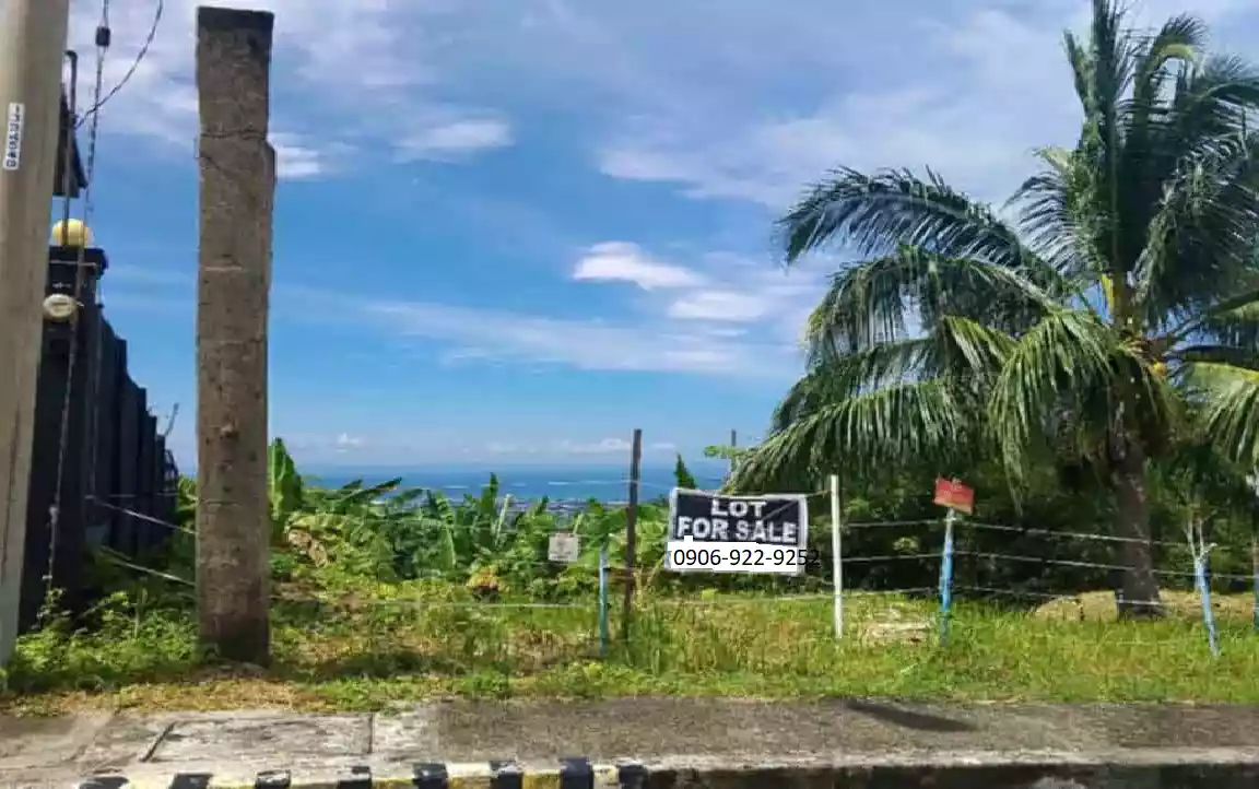 FOR SALE: Residential Lot in Vista Grande Phase 3, Talisay City, Cebu