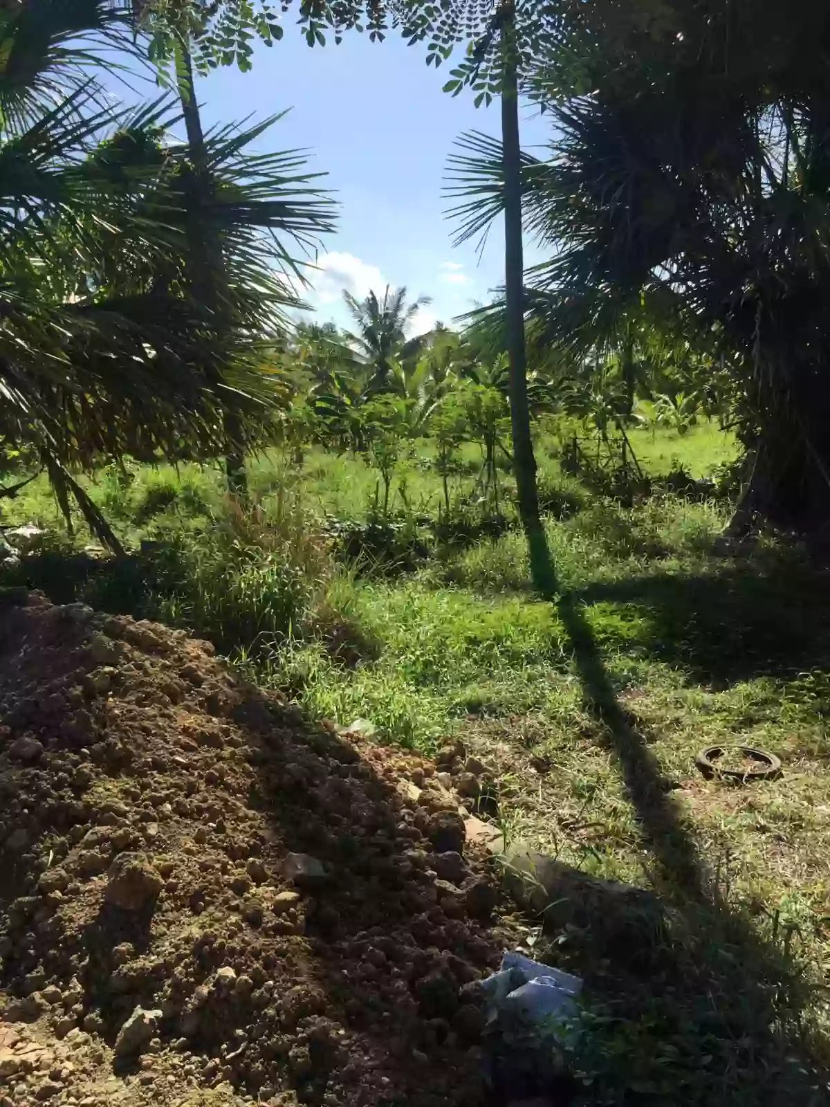 LOT FOR SALE — Residential Lot in Philippines — Photo 5
